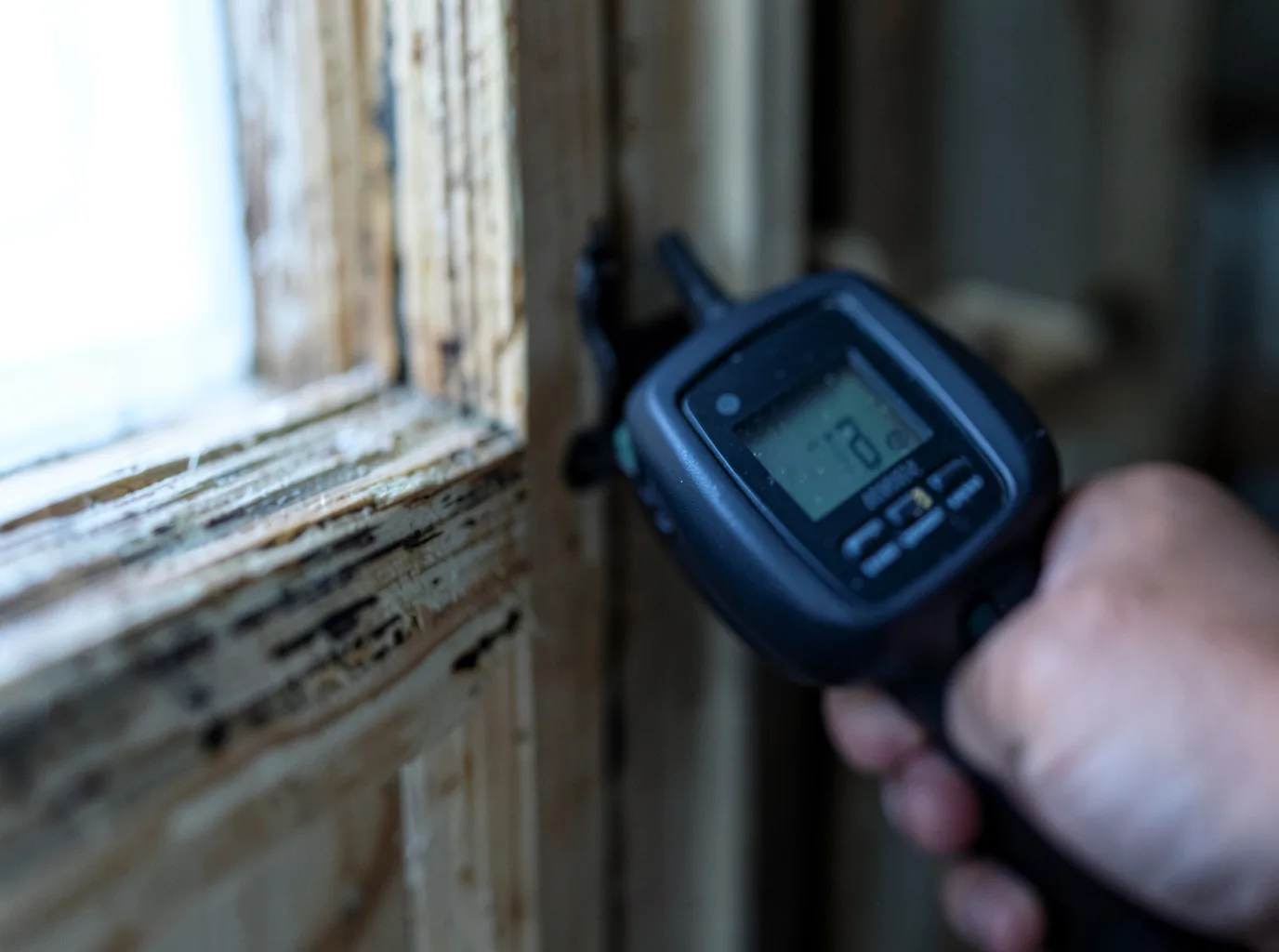 Moisture Inspection And Documentation in Columbiaville, MI
